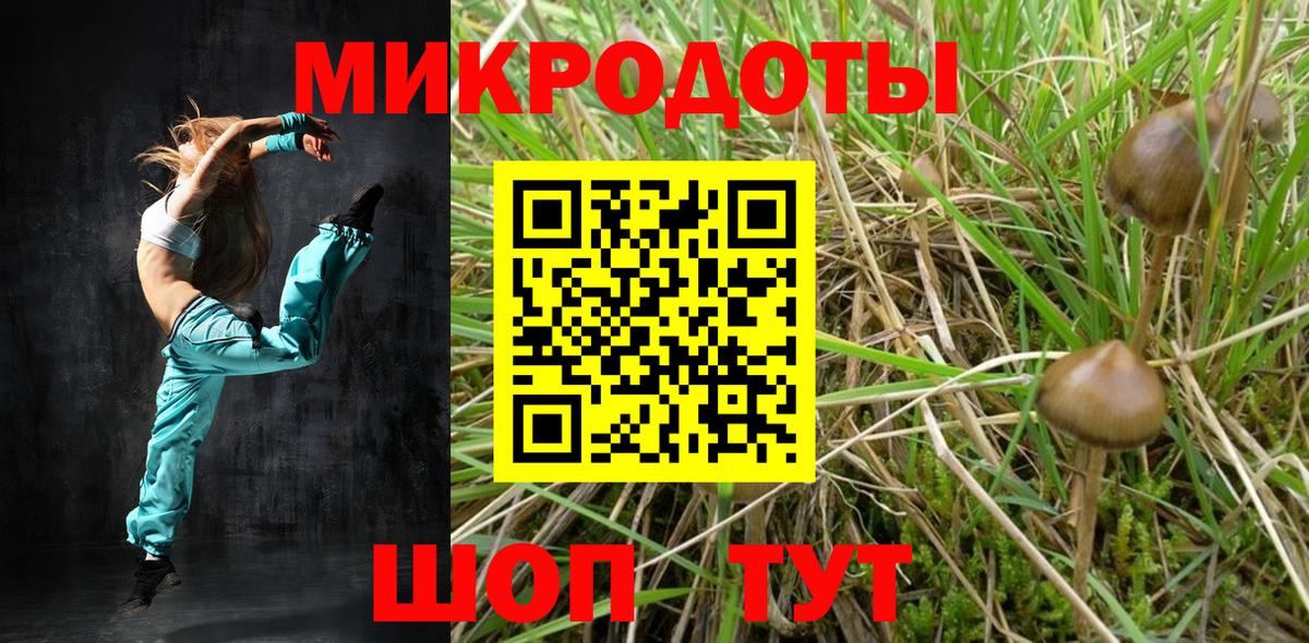 Псилоцибиновые грибы Psilocybine cubensis  Галлюциногенные грибы Psilocybine cubensis  Вход с VPN  Жигулёвск 